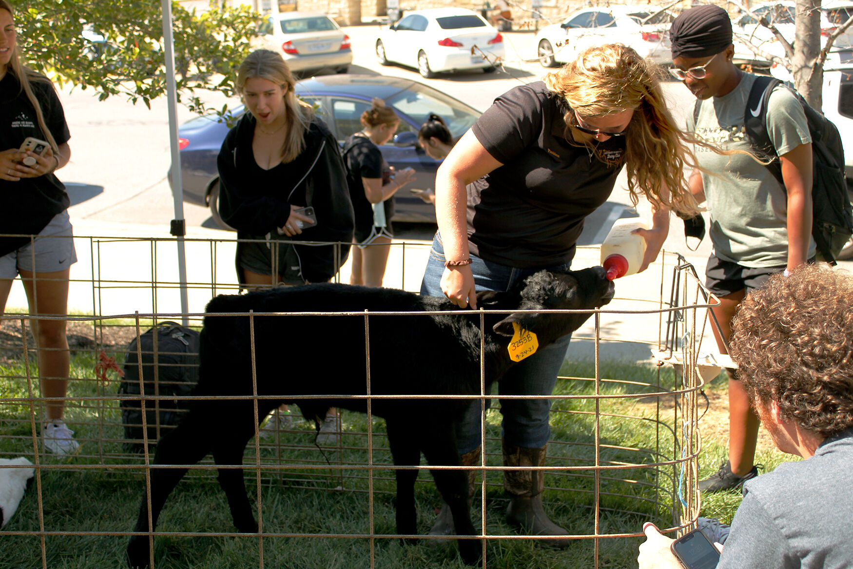 Dairy Club president Taylor Scott gives Curd a drink of water